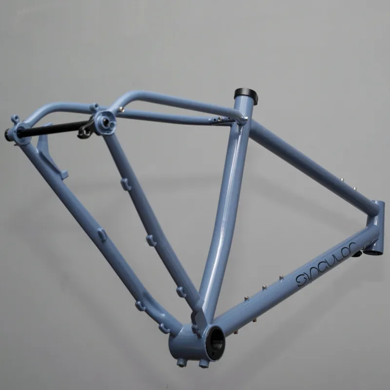 Singular Swift frameset Blue-1