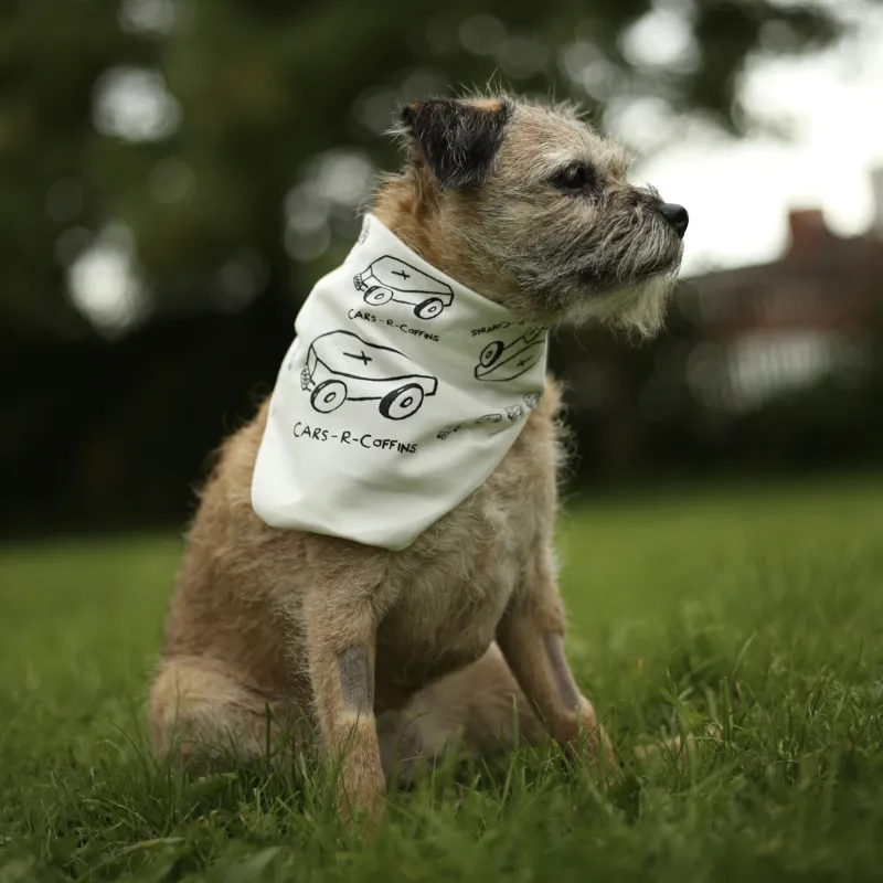 Cars R Coffins Bandana