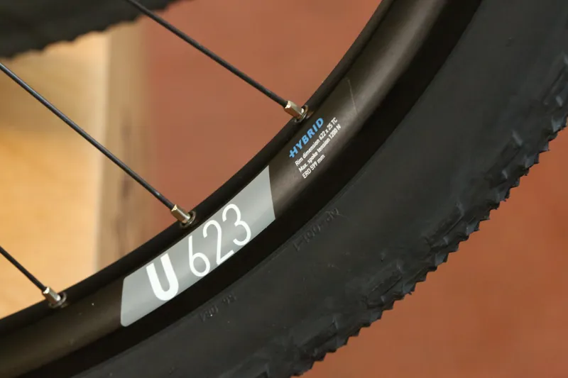 Shimano DTSwiss Custom wheelset-3