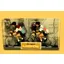 Flandriens S Raphael DAF Twin
