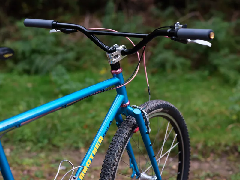 Brother Pinecone Frameset blue-5