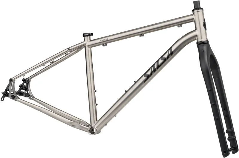 Salsa Fargo Titanium Frameset 2026 Brushed Titanium