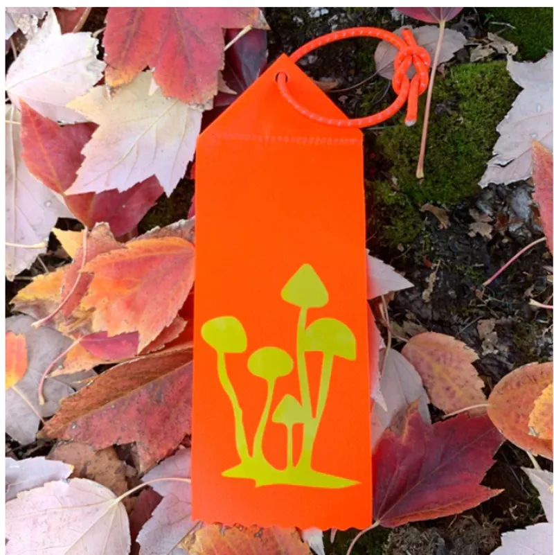 Safety Pizza Shroom Ribbon-1