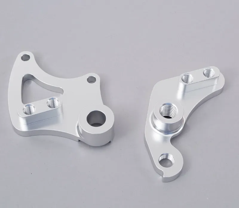 Brother Big Bro V1 dropouts